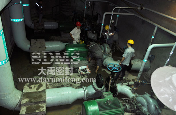 大禹工程師在客戶(hù)現(xiàn)場(chǎng)指導(dǎo)安裝機(jī)ZU型械密封